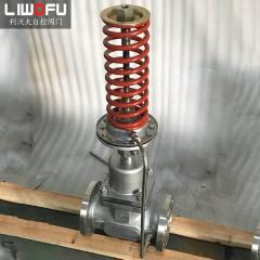 自力式壓力調節閥：科技引領，壓力控制新篇章